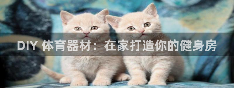 凯时kb88官网网址：DIY 体育器材：在家打造你的