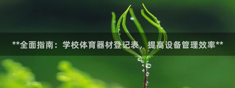 尊龙凯时最新平台登陆：**全面指南：学校体育器材登记