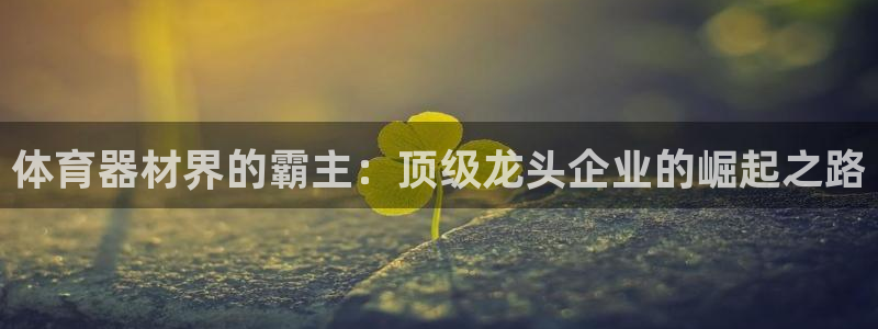 国际凯时ag优质运营商：体育器材界的霸主：顶级龙头企
