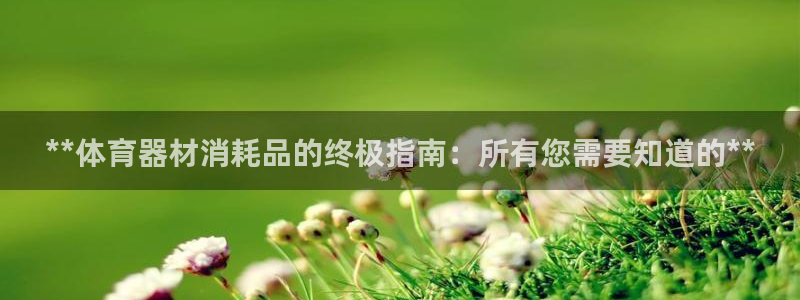 尊龙ag旗舰厅登录 租车app下载：**体育器材消耗