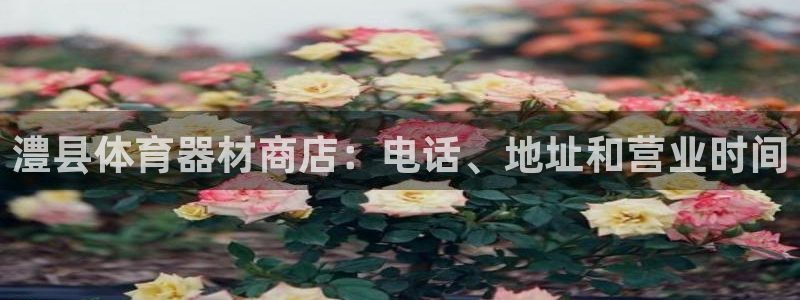 尊龙凯时人生就是搏官方网站：澧县体育器材商店：电话、