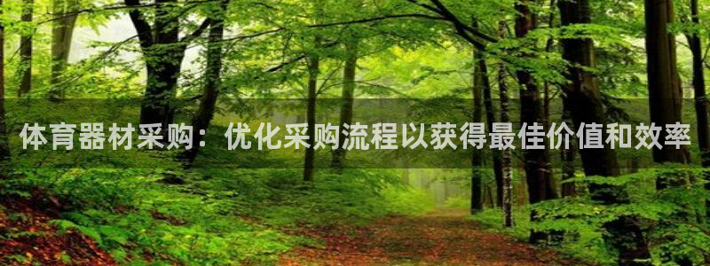 尊龙凯时不给提现怎么办：体育器材采购：优化采购流程以