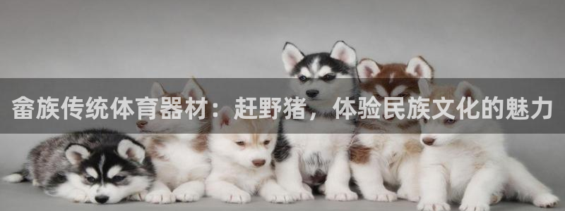 尊龙人生就是博用现金玩一下：畲族传统体育器材：赶野猪