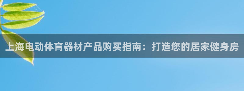 尊龙凯时旗舰厅官网：上海电动体育器材产品购买指南：打