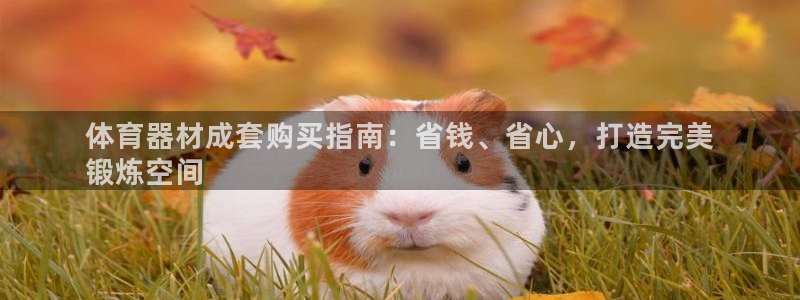 凯时k88最新：体育器材成套购买指南：省钱、省心，打
