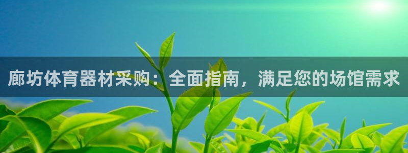 尊龙多少岁：廊坊体育器材采购：全面指南，满足您的场馆