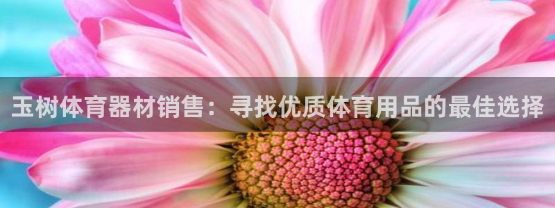 尊龙一人生就是搏：玉树体育器材销售：寻找优质体育用品