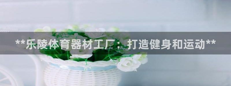 尊龙t400和尊龙t300区别：**乐陵体育器材工厂