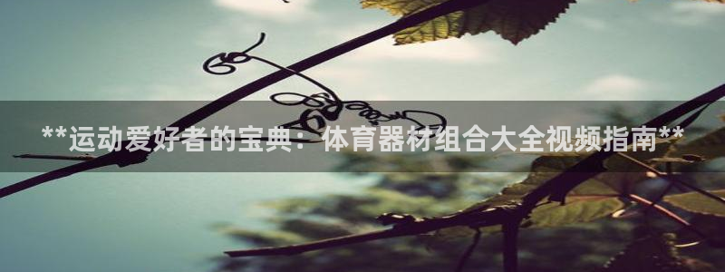 kb88凯时SO权威AG发财网：**运动爱好者的宝典