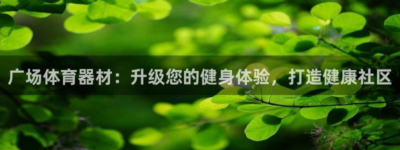 尊龙人生就是博管网：广场体育器材：升级您的健身体验，