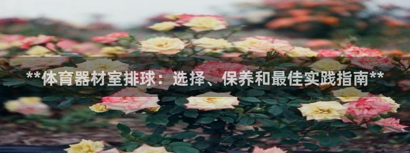K66凯时国际平台官网：**体育器材室排球：选择、保