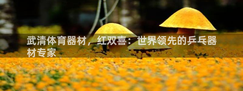 国际凯时ag优质运营商：武清体育器材，红双喜：世界领