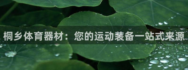 尊龙ag旗舰官网：桐乡体育器材：您的运动装备一站式来