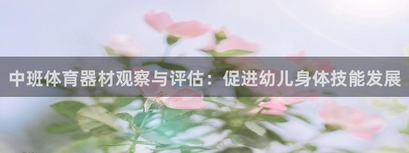 尊龙凯时几百万怎么下款：中班体育器材观察与评估：促进