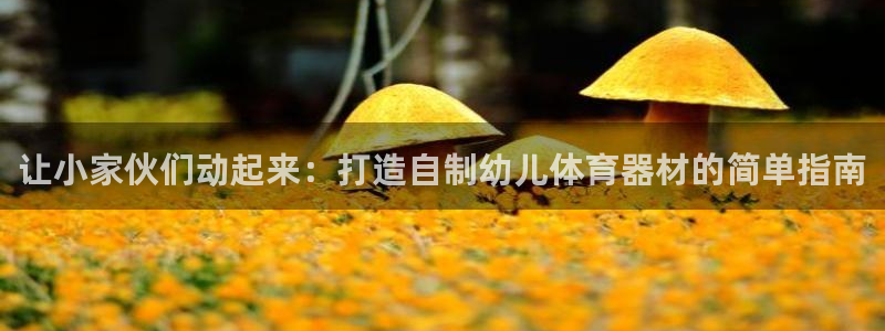 尊龙会ktv价格：让小家伙们动起来：打造自制幼儿体育