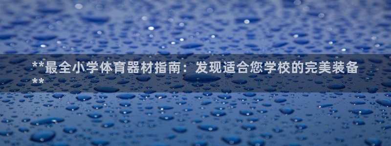 尊龙人生手机版：**最全小学体育器材指南：发现适合您