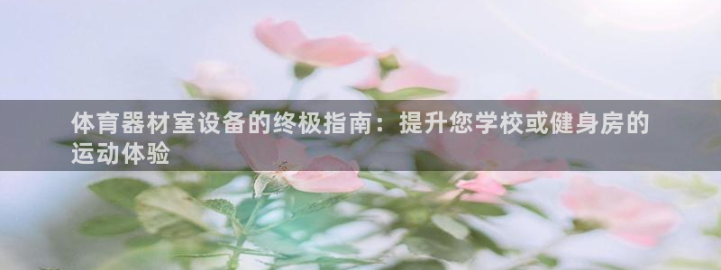 尊龙网页：体育器材室设备的终极指南：提升您学校或健身