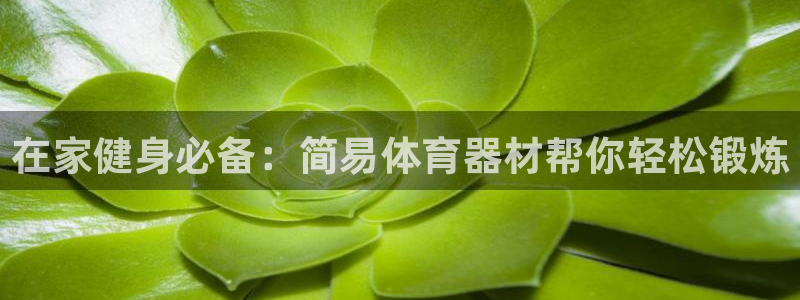 尊龙多少岁：在家健身必备：简易体育器材帮你轻松锻炼