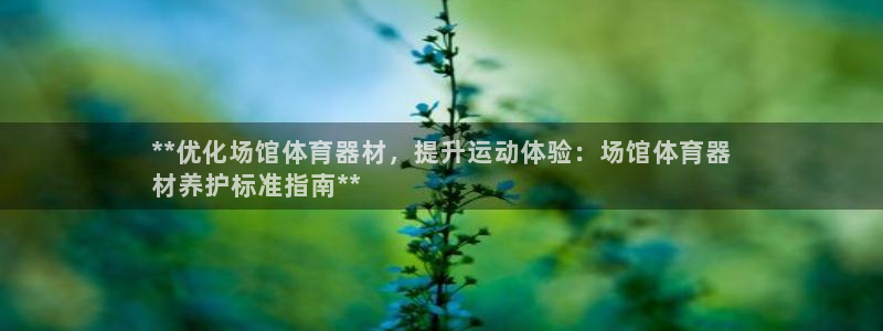尊龙网站 人生就是博：**优化场馆体育器材，提升运动