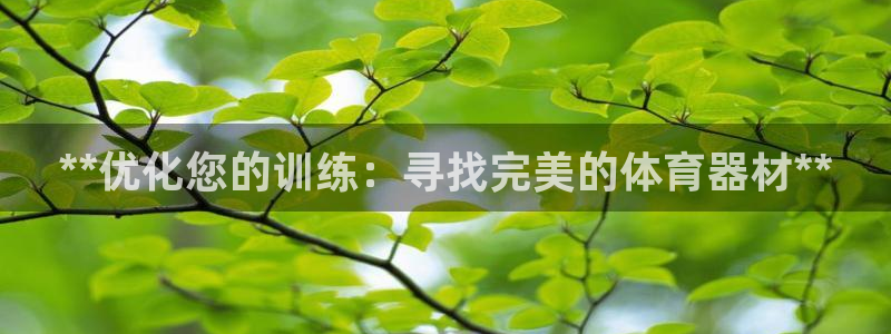 尊龙凯时旗舰厅官网：**优化您的训练：寻找完美的体育
