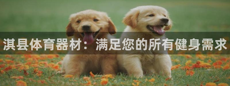 尊龙凯时合法吗?：淇县体育器材：满足您的所有健身需求