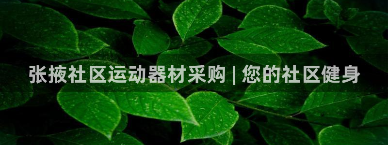 尊龙2020：张掖社区运动器材采购 | 您的社区健身