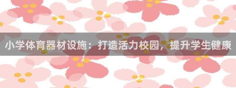 尊龙400：小学体育器材设施：打造活力校园，提升学生