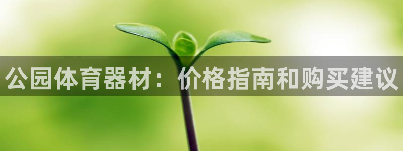 尊龙人生就是博AG旗舰厅：公园体育器材：价格指南和购