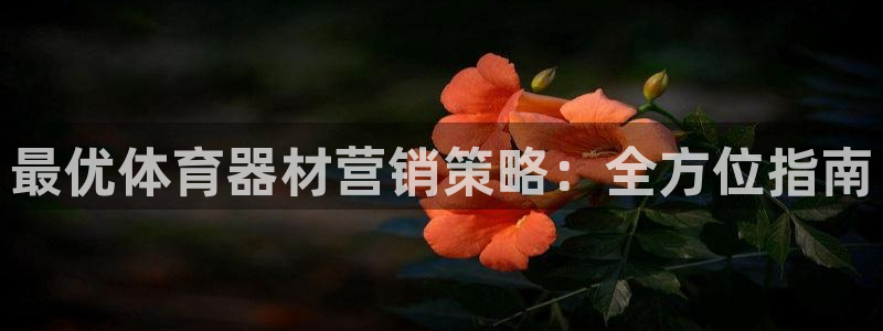 尊龙凯时平台信誉怎样：最优体育器材营销策略：全方位指