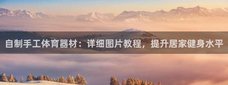 d88尊龙手机客户端下载：自制手工体育器材：详细图片