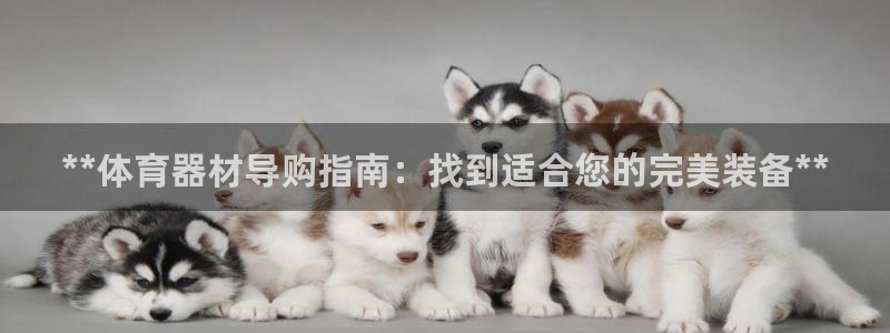 国际凯时ag优质运营商：**体育器材导购指南：找到适