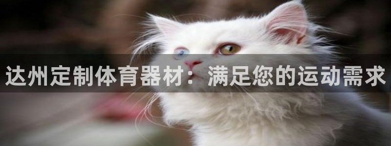 最新凯时官网网址：达州定制体育器材：满足您的运动需求