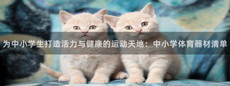 尊龙人生就是博登录：为中小学生打造活力与健康的运动天