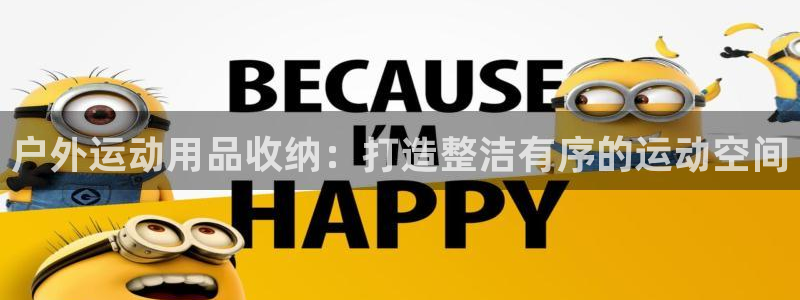 尊龙人生就是博官网登录手机：户外运动用品收纳：打造整