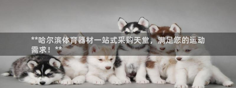 凯时最新官方APP下载：**哈尔滨体育器材一站式采购