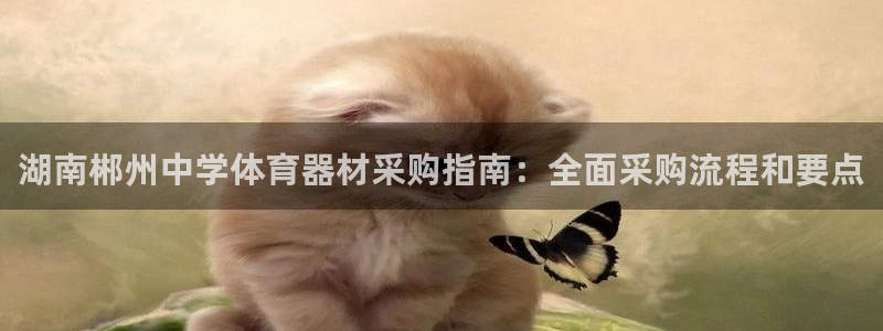 尊龙网址是多少：湖南郴州中学体育器材采购指南：全面采