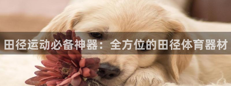 凯时国际app登录：田径运动必备神器：全方位的田径体