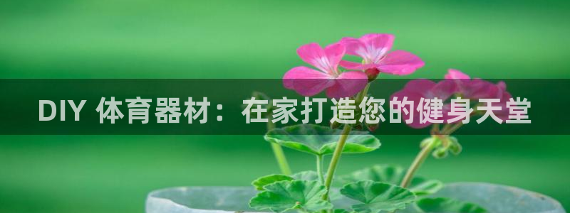 尊龙新版App下载：DIY 体育器材：在家打造您的健