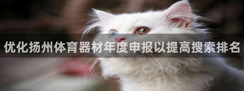 尊龙凯时美金能提取吗：优化扬州体育器材年度申报以提高