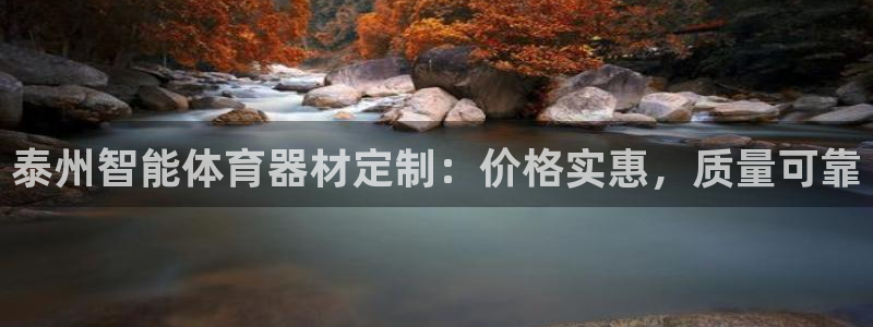 尊龙凯时老板是谁：泰州智能体育器材定制：价格实惠，质