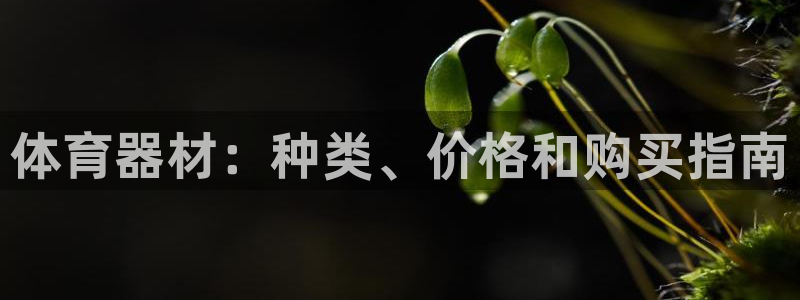 尊龙凯时人生就是博·(中国)官网最新：体育器材：种类