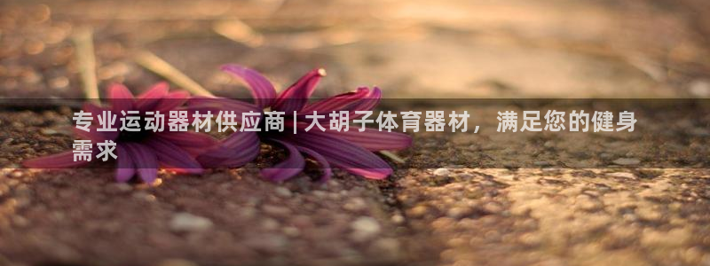 尊龙凯时官网平台：专业运动器材供应商 | 大胡子体育