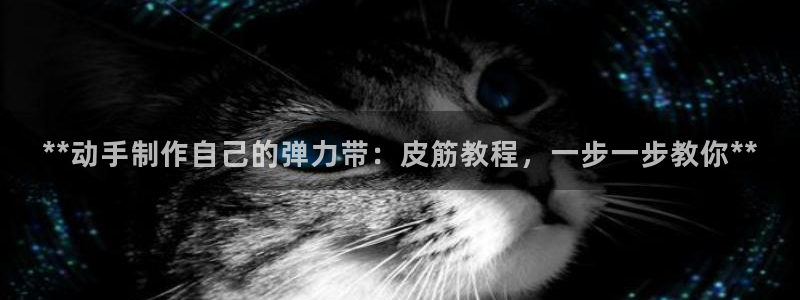尊龙人生就是博首页入口：**动手制作自己的弹力带：皮