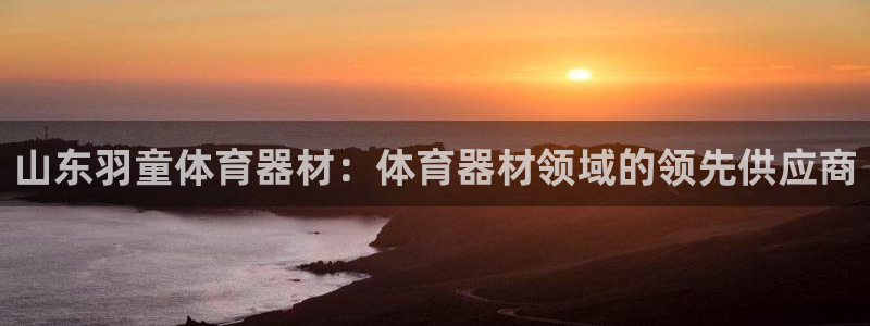 尊龙凯时产品系列：山东羽童体育器材：体育器材领域的领