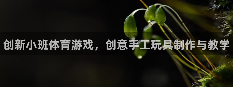 尊龙人生就是博电脑版