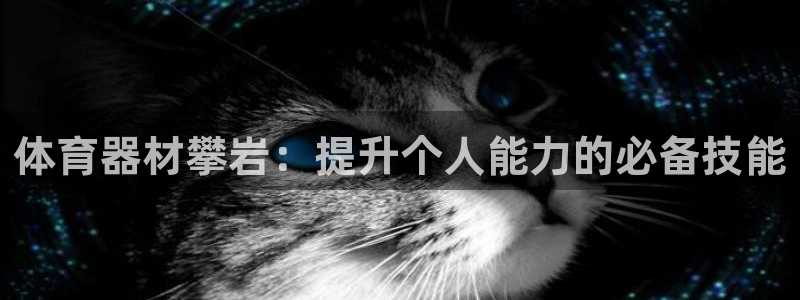 尊龙 下载
