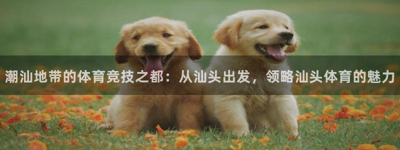 尊龙ag旗舰厅官网·(中国)官方入口