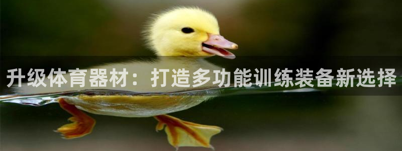 尊龙凯时企业文化