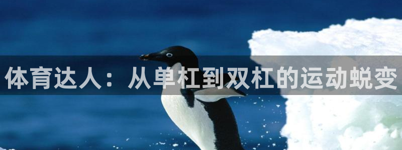 尊龙手机客户端下载APP