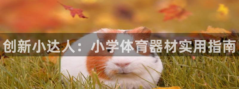 尊龙凯时人生就是搏技术实力